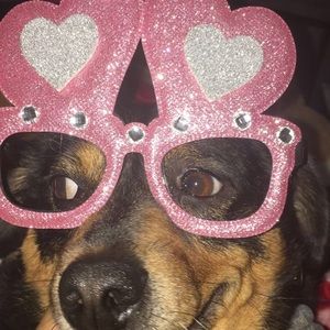 Meet your Posher, Heetanshi